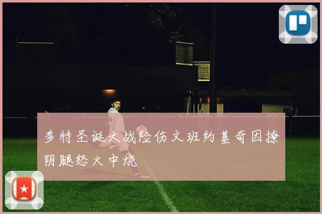 多特圣诞大战险伤文班约基奇因撩阴腿怒火中烧